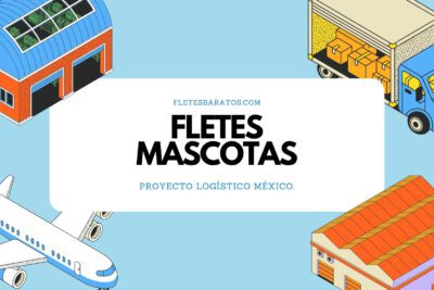 Fletes de mascotas en méxico